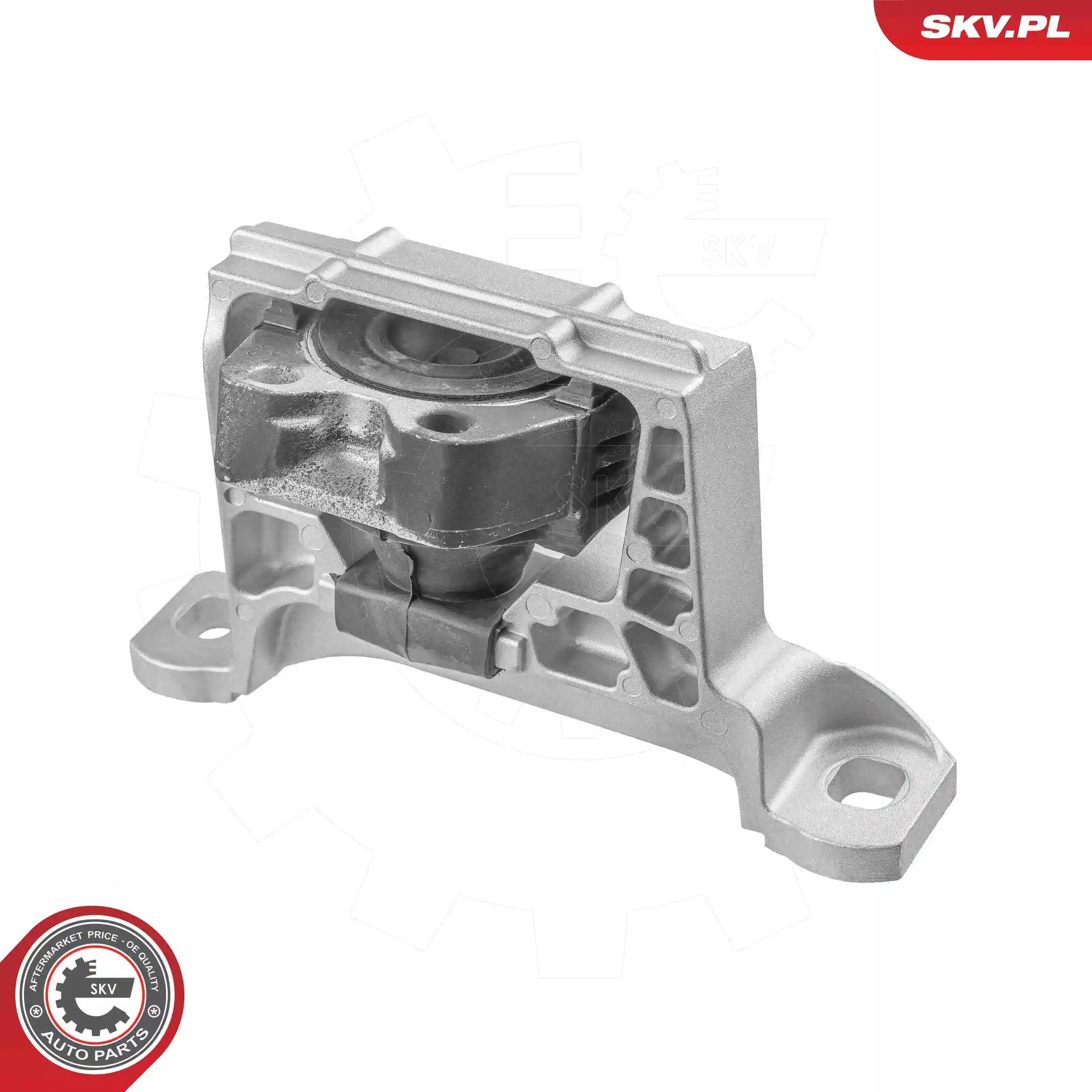 Mounting, engine